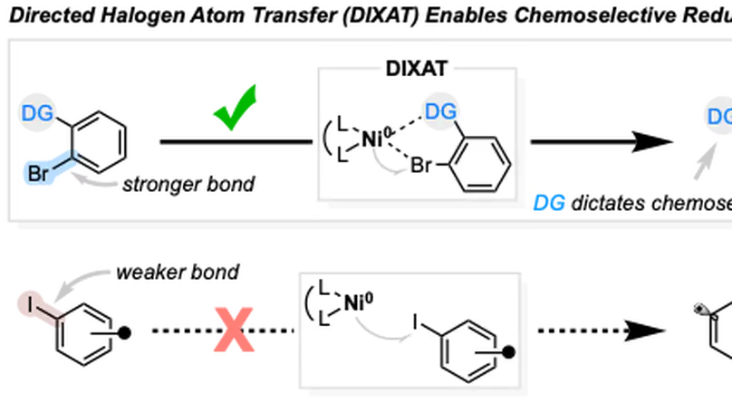 Directed Halogen Atom Transfer (DIXAT): A Powerful Tool for Chemoselective Generation of Aryl Radicals Toward Remote C(sp<sup>3</sup>)–H Functionalization of Aliphatic Amines
