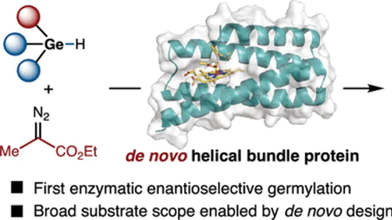 De Novo Design, Directed Evolution and Computational Study of Heme-Binding Helical Bundle Protein Catalysts for Biocatalytic Enantioselective Ge–H Insertion