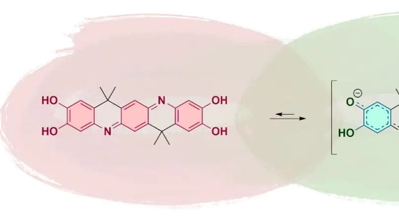 Resonance-Assisted Self-Doping in Robust Open-Shell Ladder-Type Oligoaniline Analogues