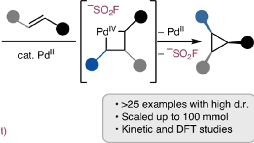 Alkyl sulfonyl fluorides as ambiphiles in the stereoselective palladium(II)-catalysed cyclopropanation of unactivated alkenes