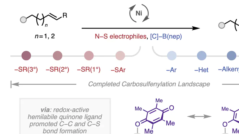 Hemilabile Quinone Ligands Enable Nickel-Catalyzed C−S(Alkyl) Bond Formation in the Carbosulfenylation of Unactivated Alkenes