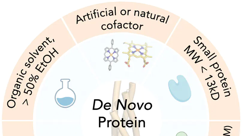 De novo design of porphyrin-containing proteins as efficient and stereoselective catalysts