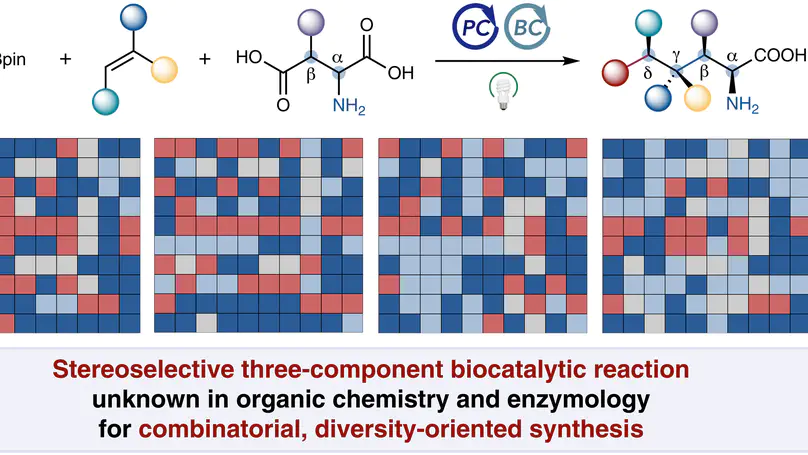 Diversity-oriented photobiocatalytic synthesis via stereoselective three-component radical coupling