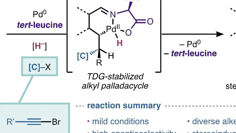 Enantioselective Hydroalkenylation and Hydroalkynylation of Alkenes Enabled by a Transient Directing Group: Catalyst Generality through Rigidification